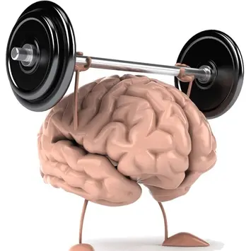 Segundo pesquisa, atividade física turbina o cérebro em qualquer fase da vida!